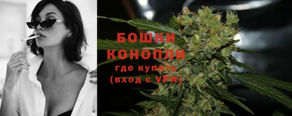 2c-b Белокуриха