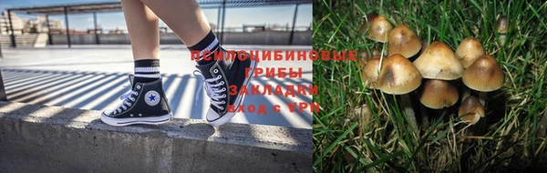 2c-b Белокуриха