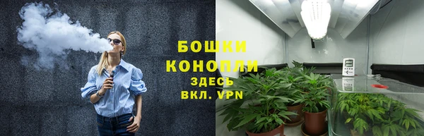 2c-b Белокуриха
