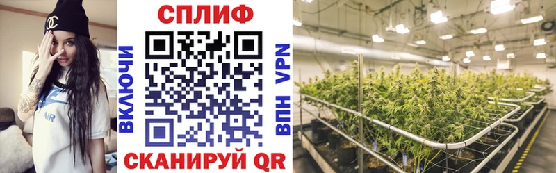 Конопля Bruce Banner  omg зеркало  Монино 